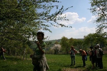 Wildapfel-Wanderung am 08. Mai